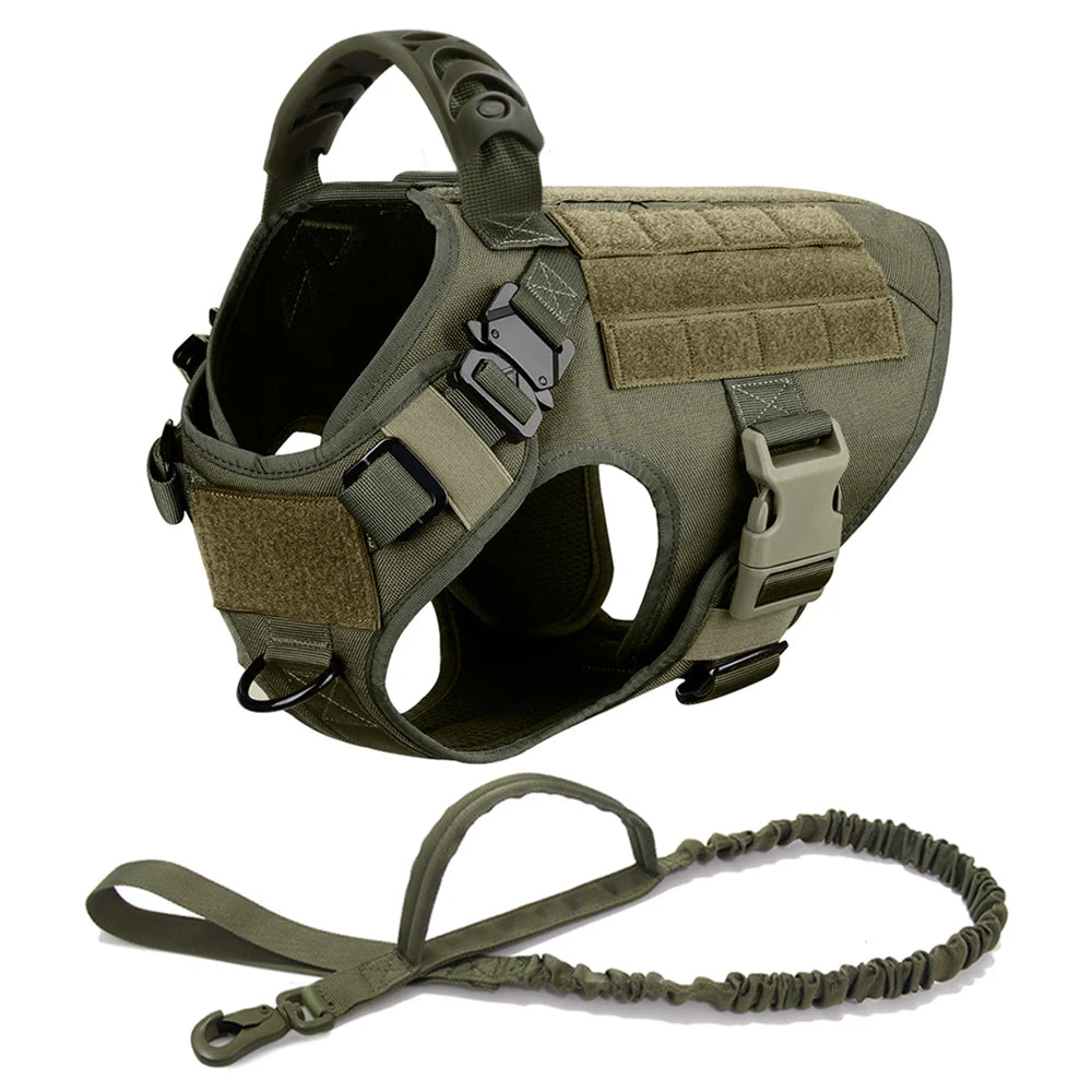 German Shepherd Malinois Training Walking Vest