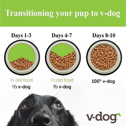 Vegan Kibble Dry Dog Food