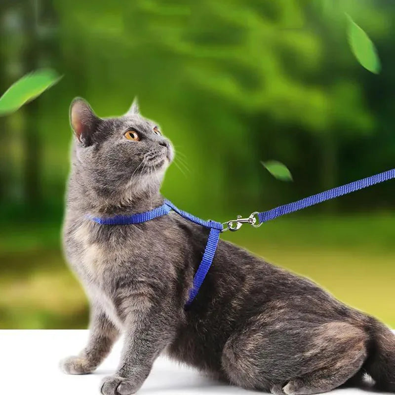 Lightweight Adjustable Cat Harness and Leash Set