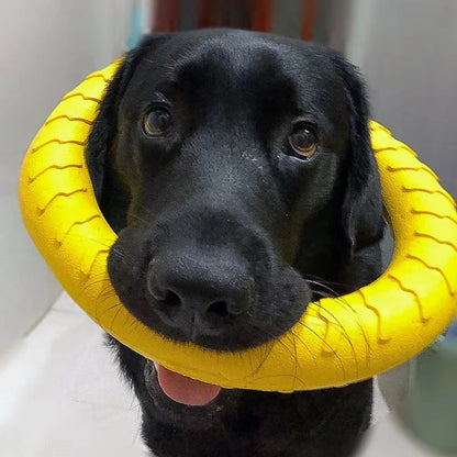 Indestructible Chewing Flying Floating Training Tools