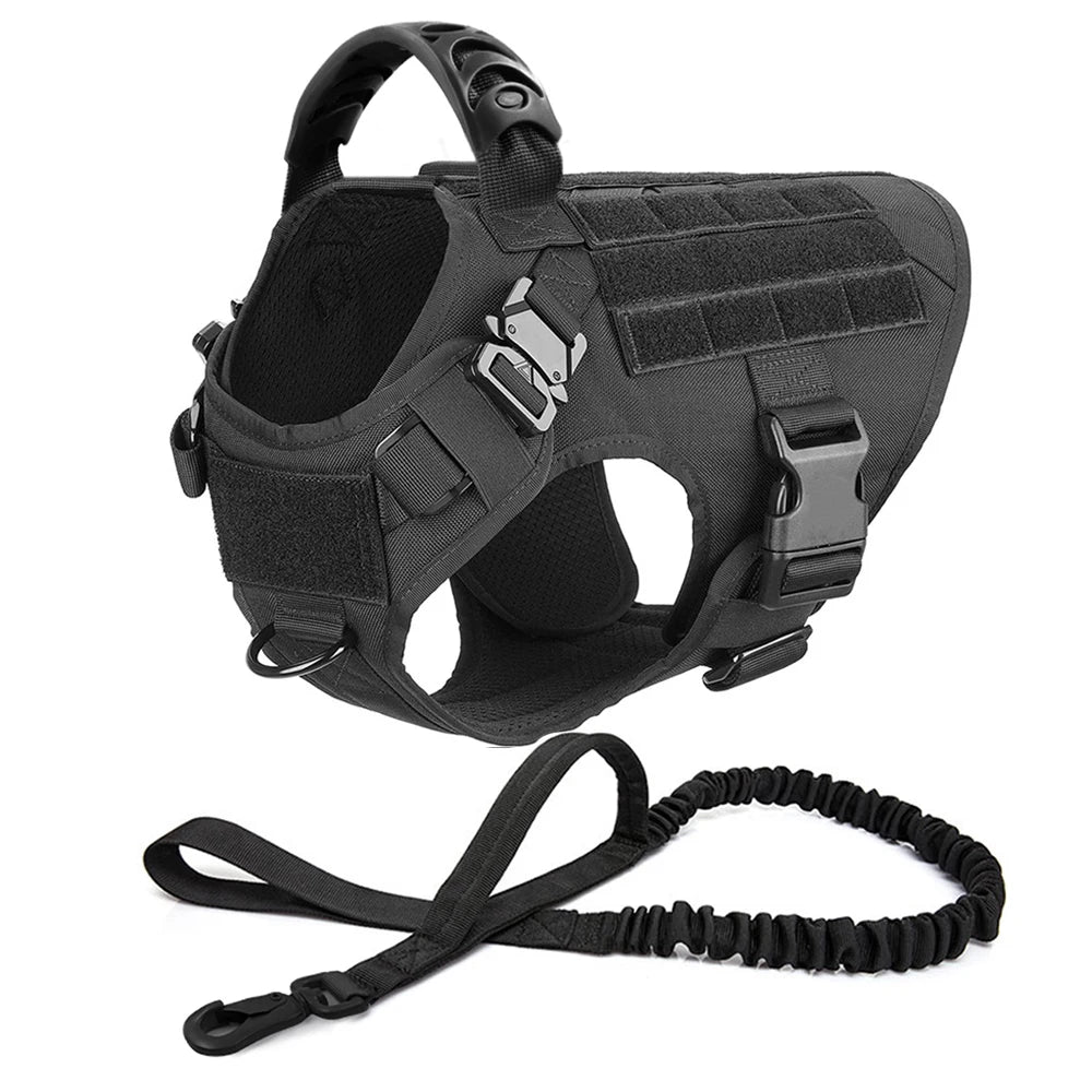 German Shepherd Malinois Training Walking Vest