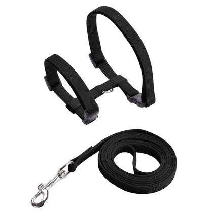 Lightweight Adjustable Cat Harness and Leash Set