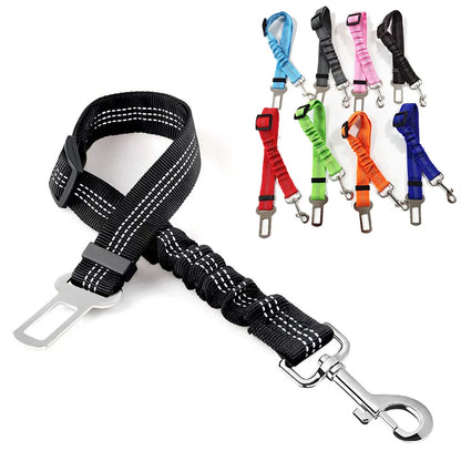 Retractable Buffer Elastic Reflective Dog Leash