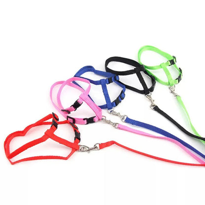 Lightweight Adjustable Cat Harness and Leash Set