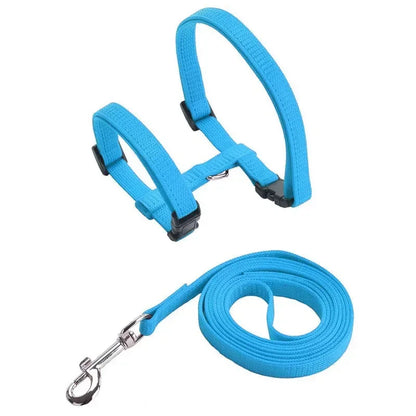 Lightweight Adjustable Cat Harness and Leash Set