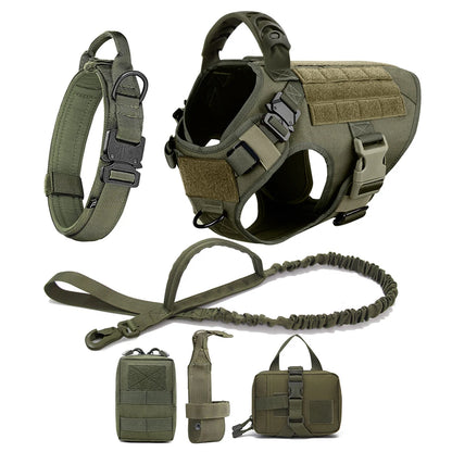 German Shepherd Malinois Training Walking Vest