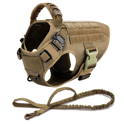 German Shepherd Malinois Training Walking Vest