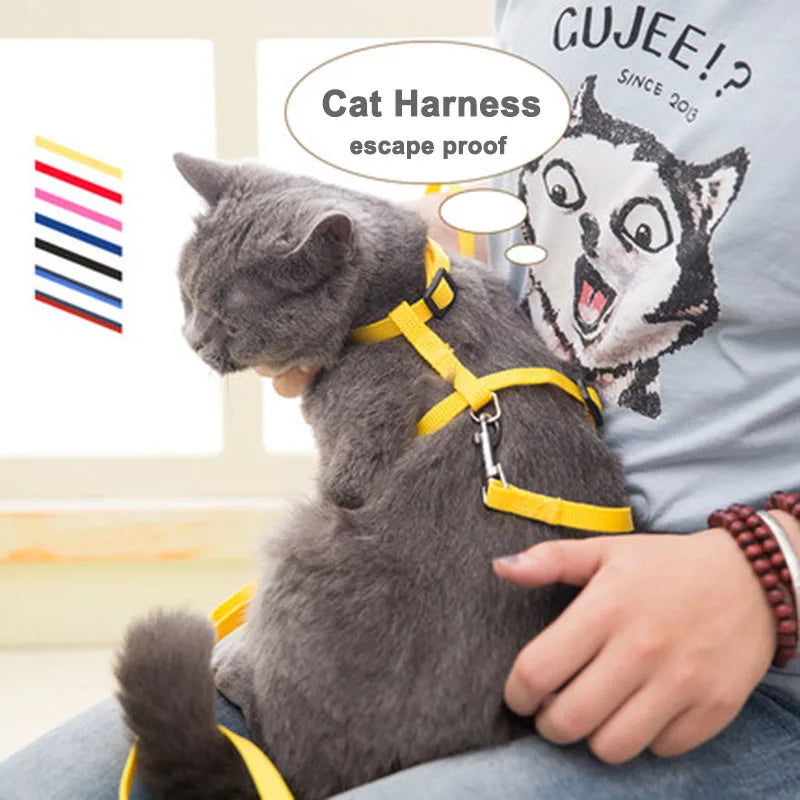 Lightweight Adjustable Cat Harness and Leash Set