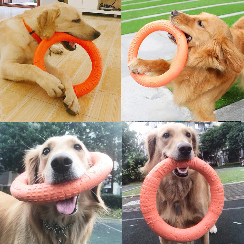 Indestructible Chewing Flying Floating Training Tools