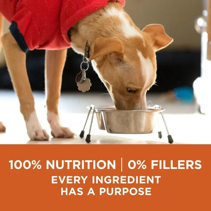 Healthy Weight Dog Food