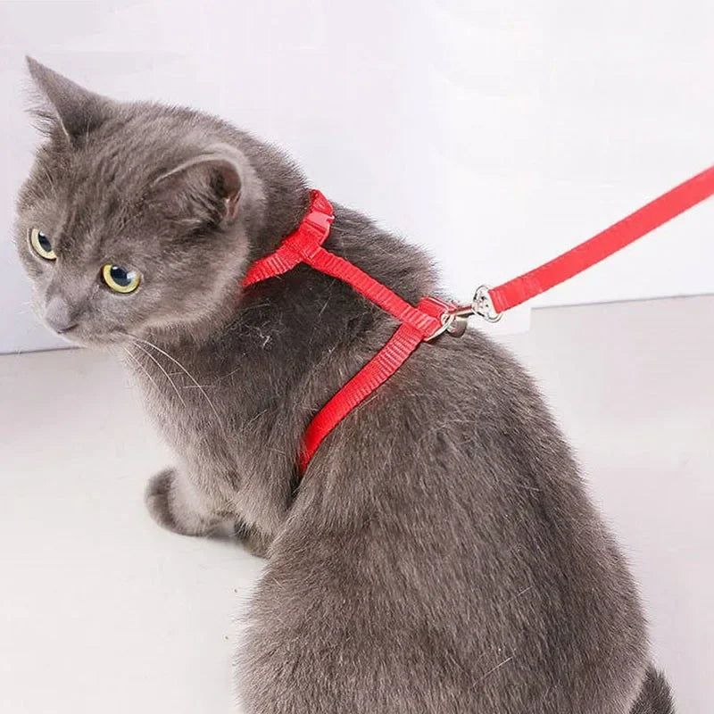 Lightweight Adjustable Cat Harness and Leash Set