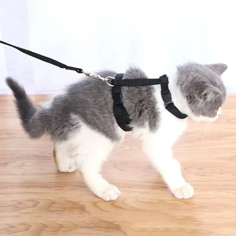 Lightweight Adjustable Cat Harness and Leash Set