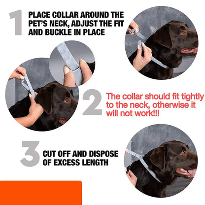 Universal Flea & Tick Collar