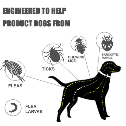 Universal Flea & Tick Collar