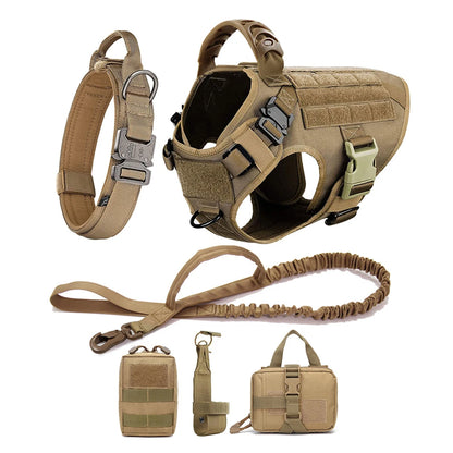 German Shepherd Malinois Training Walking Vest